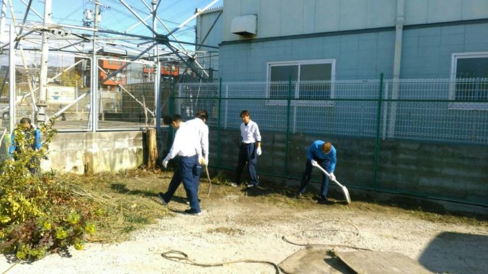 勤労感謝の日。ドライバーさんも一緒に駐車場の草刈り 4 もはや柴刈り