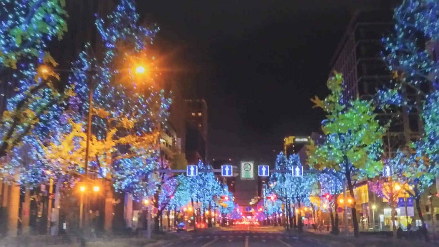 美しく彩られた御堂筋イルミネーションのイチョウ並木