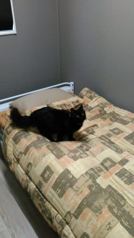 本社の女性ドライバー用の仮眠室、シャワールーム、オープン! 11 物色 黒猫