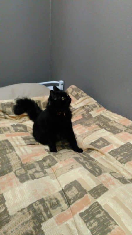 本社の女性ドライバー用の仮眠室、シャワールーム、オープン! 9 物色中おはぎ