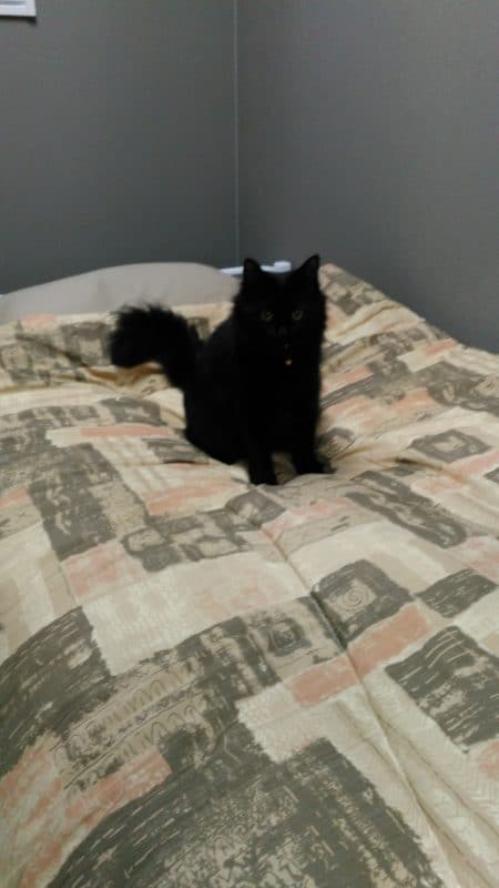 本社の女性ドライバー用の仮眠室、シャワールーム、オープン! 6 じっとおはぎ